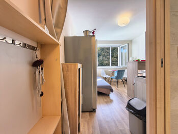 Prodej bytu 1+1 v osobním vlastnictví 36 m², Loket