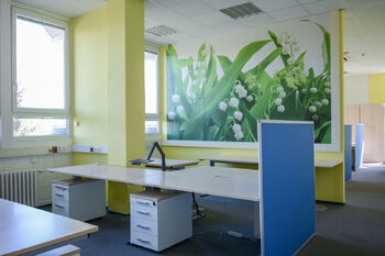 Pronájem kancelářských prostor 315 m², Hradec Králové