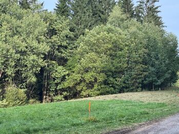 Prodej pozemku 1194 m², Hutisko-Solanec