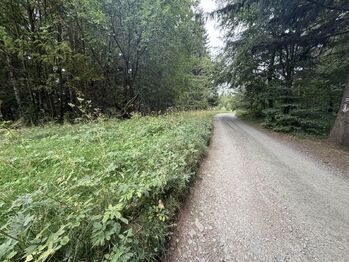 Prodej pozemku 1194 m², Hutisko-Solanec