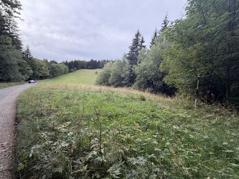 Prodej pozemku 1194 m², Hutisko-Solanec
