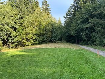 Prodej pozemku 1194 m², Hutisko-Solanec