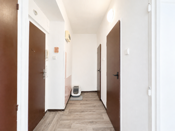Prodej bytu 1+1 v družstevním vlastnictví 36 m², Havířov