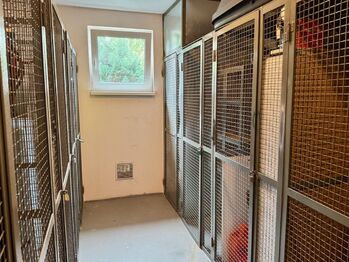 Sklep - Pronájem bytu 2+1 v osobním vlastnictví 66 m², Nupaky