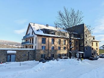 Prodej bytu 1+kk v osobním vlastnictví 33 m², Janské Lázně