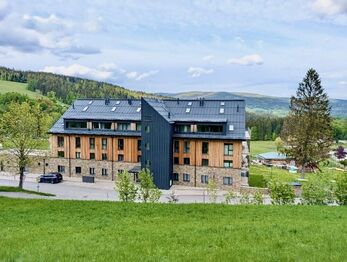 Prodej bytu 1+kk v osobním vlastnictví 33 m², Janské Lázně