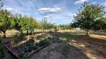 Zahrada - Prodej chaty / chalupy 24 m², Drnovice