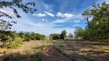 Zahrada - Prodej chaty / chalupy 24 m², Drnovice