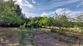 Zahrada - Prodej chaty / chalupy 24 m², Drnovice