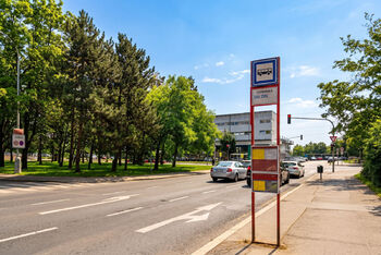 Okolí domu - Prodej bytu 2+kk v družstevním vlastnictví 40 m², Praha 9 - Prosek