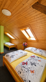 Prodej domu 368 m², Velké Hamry