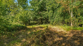 Prodej domu 136 m², Nový Oldřichov