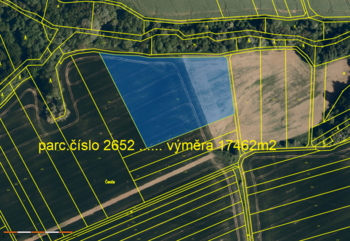 pozemek p.č. 2652 ... 17462 m2 - Prodej pozemku 21481 m², Lubná