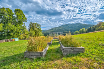 Prodej pozemku 2574 m², Vyšší Brod