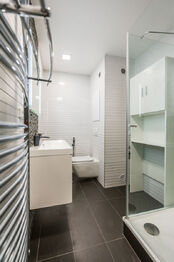 KOUPELNA - Prodej bytu 1+1 v osobním vlastnictví 36 m², Praha 4 - Braník