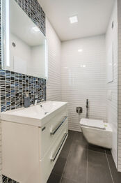 KOUPELNA - Prodej bytu 1+1 v osobním vlastnictví 36 m², Praha 4 - Braník