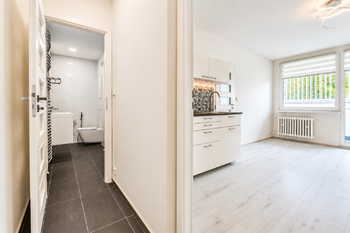 KOUPELNA + OBÝVACÍ POKOJ - Prodej bytu 1+1 v osobním vlastnictví 36 m², Praha 4 - Braník