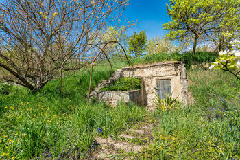 Rodinný dům Němčice nad Hanou - Prodej domu 180 m², Němčice nad Hanou