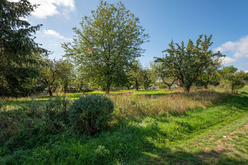 Prodej domu 222 m², Mladá Vožice