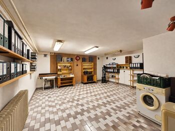 Prodej domu 279 m², Blšany