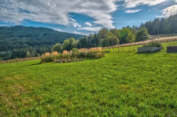 Prodej pozemku 2100 m², Vyšší Brod