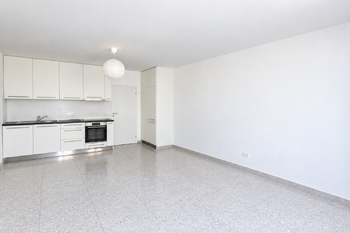 Pronájem bytu 1+kk v osobním vlastnictví 35 m², Kolín