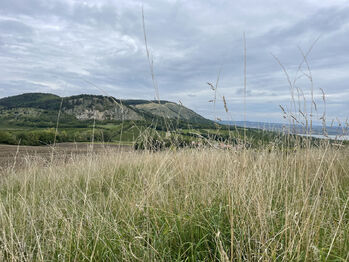 Prodej ubytovacího zařízení 1800 m², Znojmo