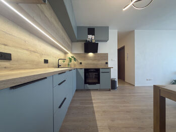 Pronájem bytu 2+kk v osobním vlastnictví 58 m², Plzeň