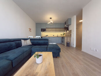 Pronájem bytu 2+kk v osobním vlastnictví 58 m², Plzeň