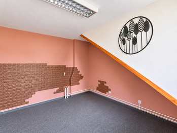 Pronájem bytu atypický v osobním vlastnictví 65 m², České Budějovice