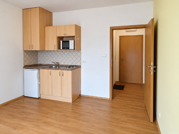 Pronájem bytu 1+kk v osobním vlastnictví 21 m², České Budějovice