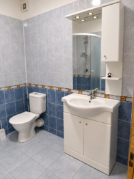 Pronájem bytu 1+kk v osobním vlastnictví 21 m², České Budějovice