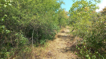 Prodej pozemku 1744 m², Brno