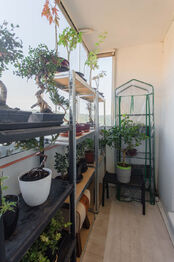 Prodej bytu 3+1 v osobním vlastnictví 70 m², Adamov