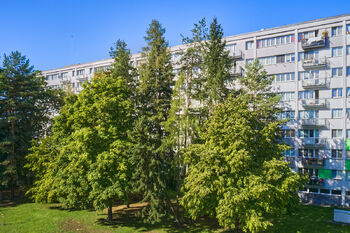 Prodej bytu 3+1 v osobním vlastnictví 63 m², Hradec Králové