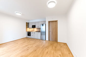 Pronájem bytu 1+kk v osobním vlastnictví 38 m², Praha 8 - Libeň