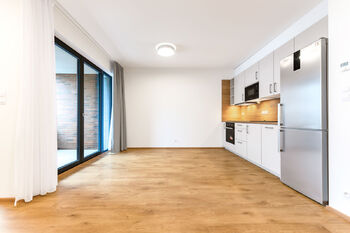 Pronájem bytu 1+kk v osobním vlastnictví 38 m², Praha 8 - Libeň