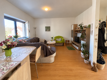 Prodej bytu 2+kk v osobním vlastnictví 49 m², Ratíškovice