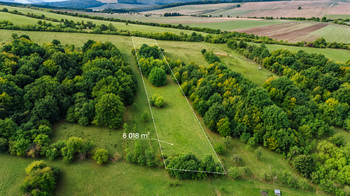 Prodej pozemku 27157 m², Javorník
