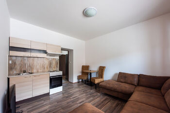 Rodinný dům Rotalova, Brno, se 3 bytovými jednotkami a zahradou - Prodej nájemního (činžovního) domu 208 m², Brno