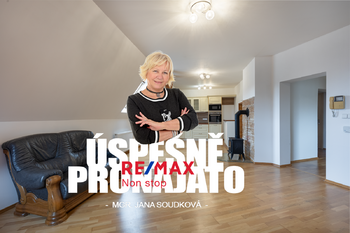 Pronájem bytu 2+kk v družstevním vlastnictví 49 m², Litvínov