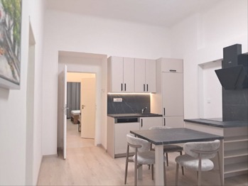   - Pronájem bytu 3+kk v osobním vlastnictví 65 m², Praha 3 - Žižkov