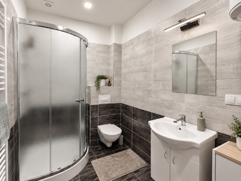Prodej bytu 1+1 v osobním vlastnictví 45 m², Ostrava