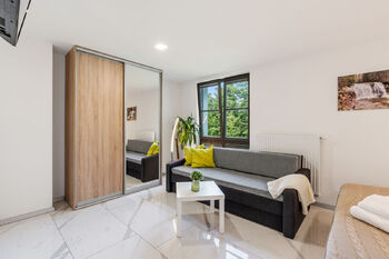 Prodej bytu 1+kk v osobním vlastnictví 33 m², Harrachov
