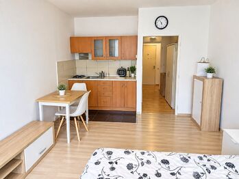 Prodej bytu 1+kk v osobním vlastnictví 28 m², Praha 4 - Michle
