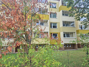 Pronájem bytu 1+1 v družstevním vlastnictví 37 m², Valašské Meziříčí
