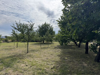 Prodej pozemku 1171 m², Valtice