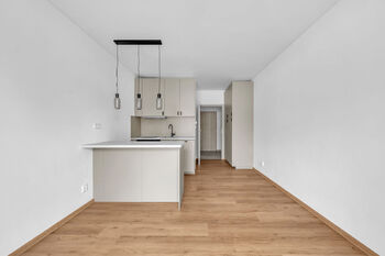 Pronájem bytu 1+kk v osobním vlastnictví 25 m², Milovice