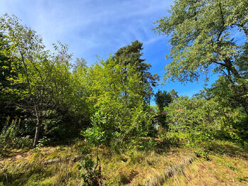 Prodej chaty / chalupy 48 m², Kestřany