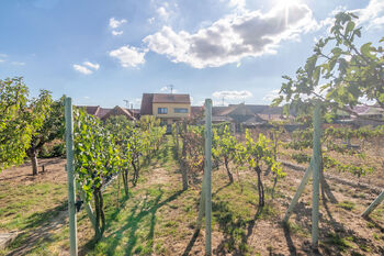 Prodej domu 225 m², Tvrdonice